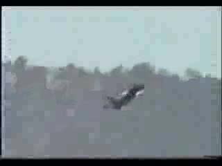 Ф - 18 Хорнет Висш Пилотаж - Салинас