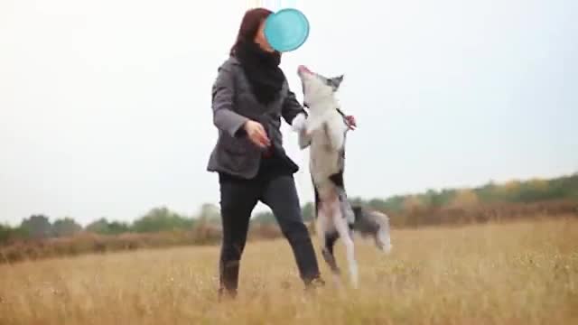Куче с невероятни трикове!