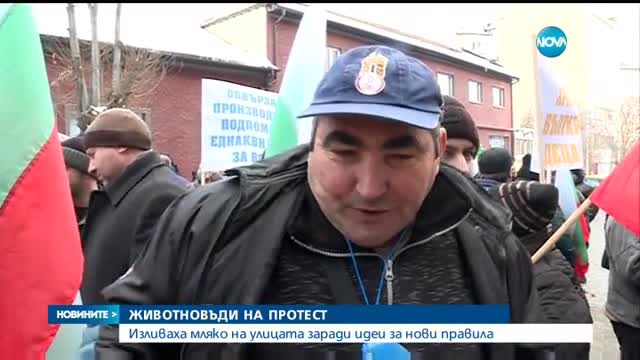ЖИВОТНОВЪДИ НА ПРОТЕСТ: Изливаха мляко на улицата заради идеи за нови правила