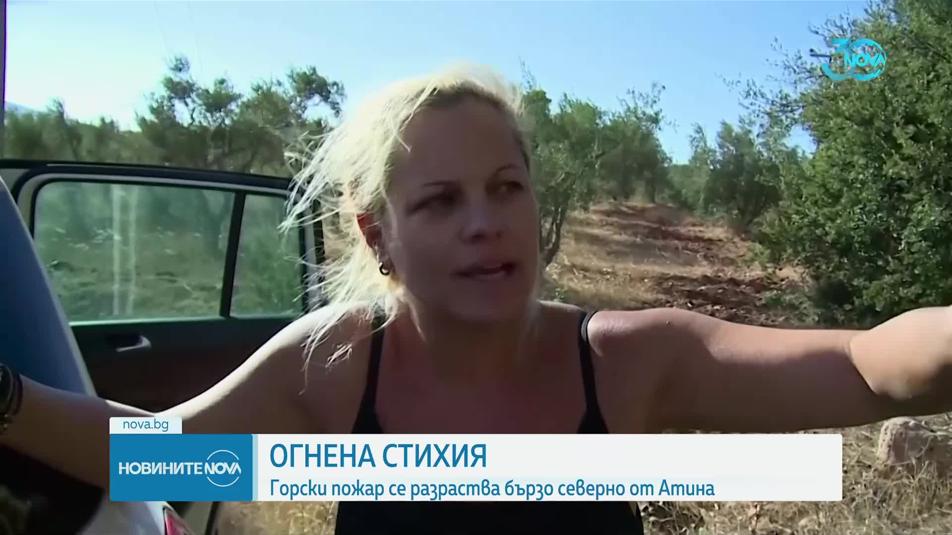 Няколко пожара върлуват в Гърция на фона на очаквани екстремни жеги