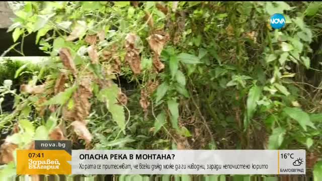 В Монтанско се притясняват от непочистено корито