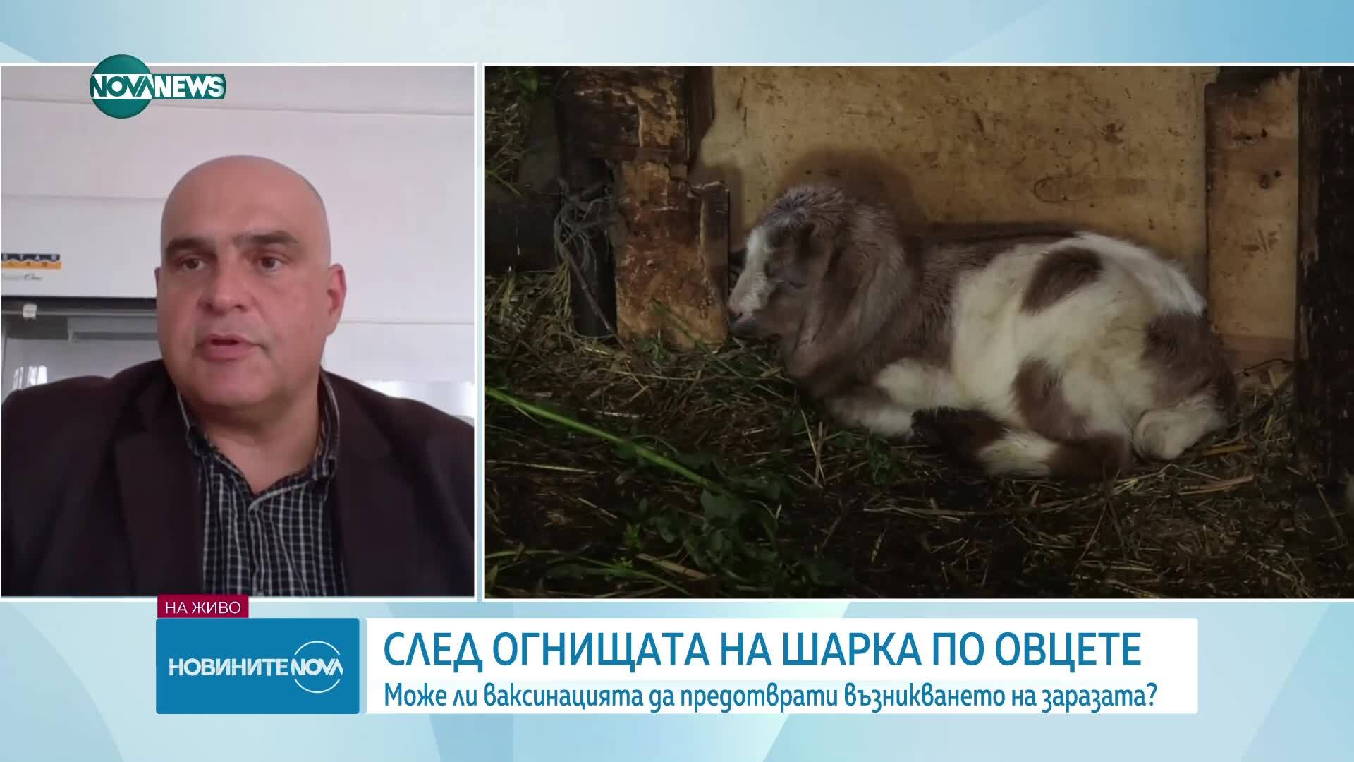 Доц. Чавдар Филипов: Няма риск при консумация на мляко и месо след ваксинация на животни