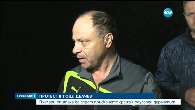 Протестите на пчеларите не спряха пръскането с отрова