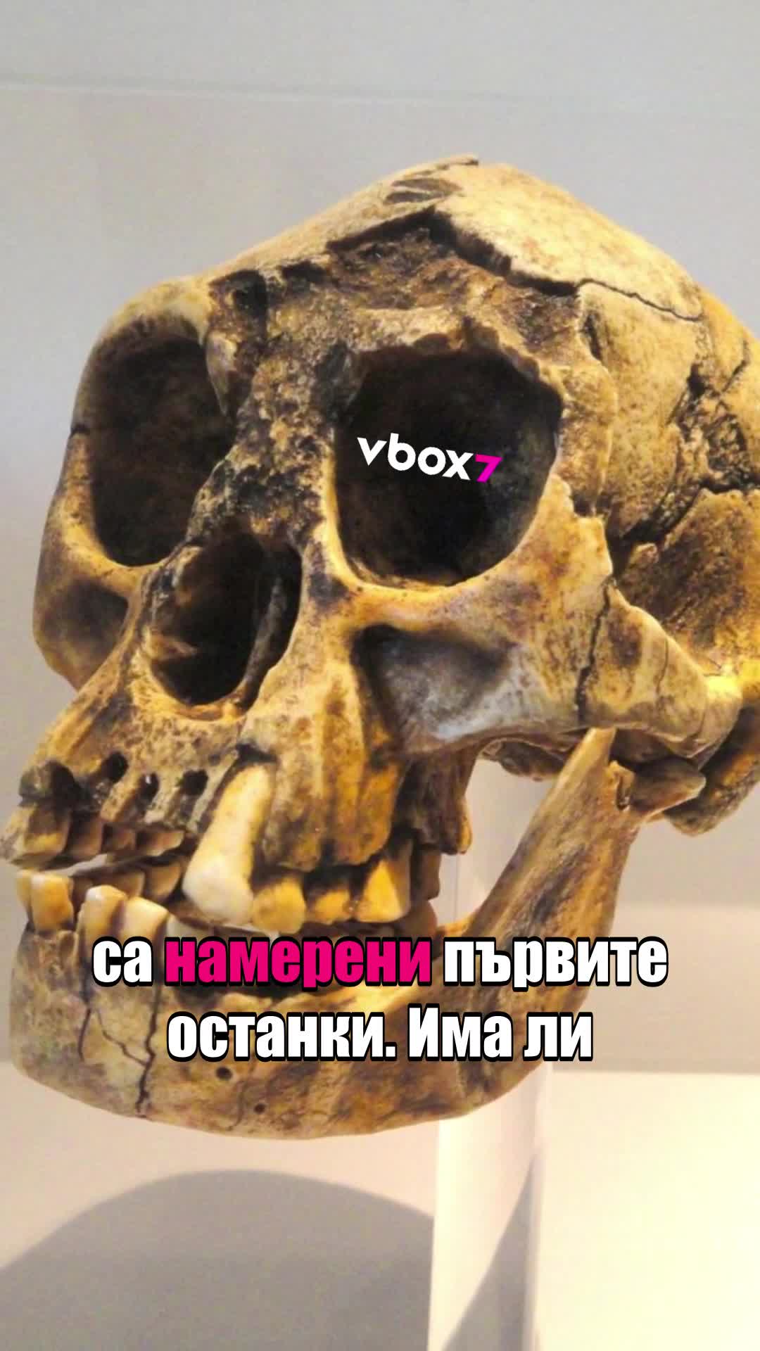 Хобитите са съществували! ВИЖТЕ!🤩