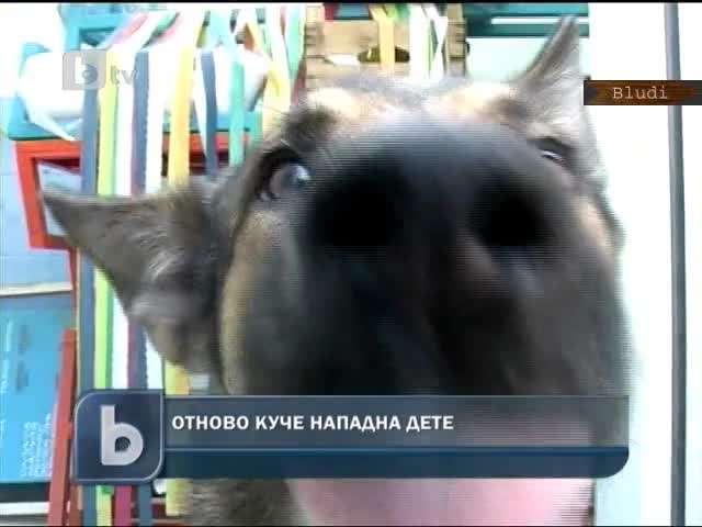 Куче нахапа дете жестоко отново 