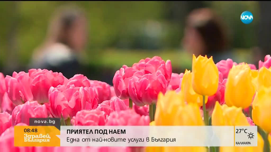 Нова услуга: Приятел под наем
