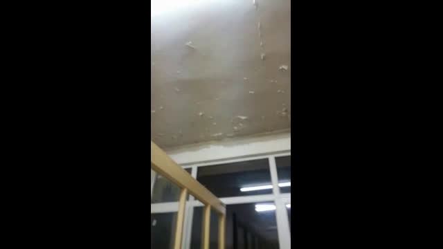 "Моята новина": Инфекциозно отделение във Варна
