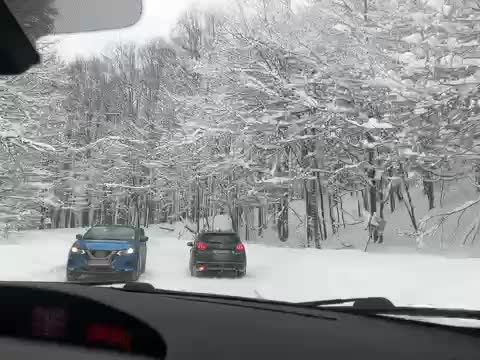 Зимна приказка на прохода Петрохан