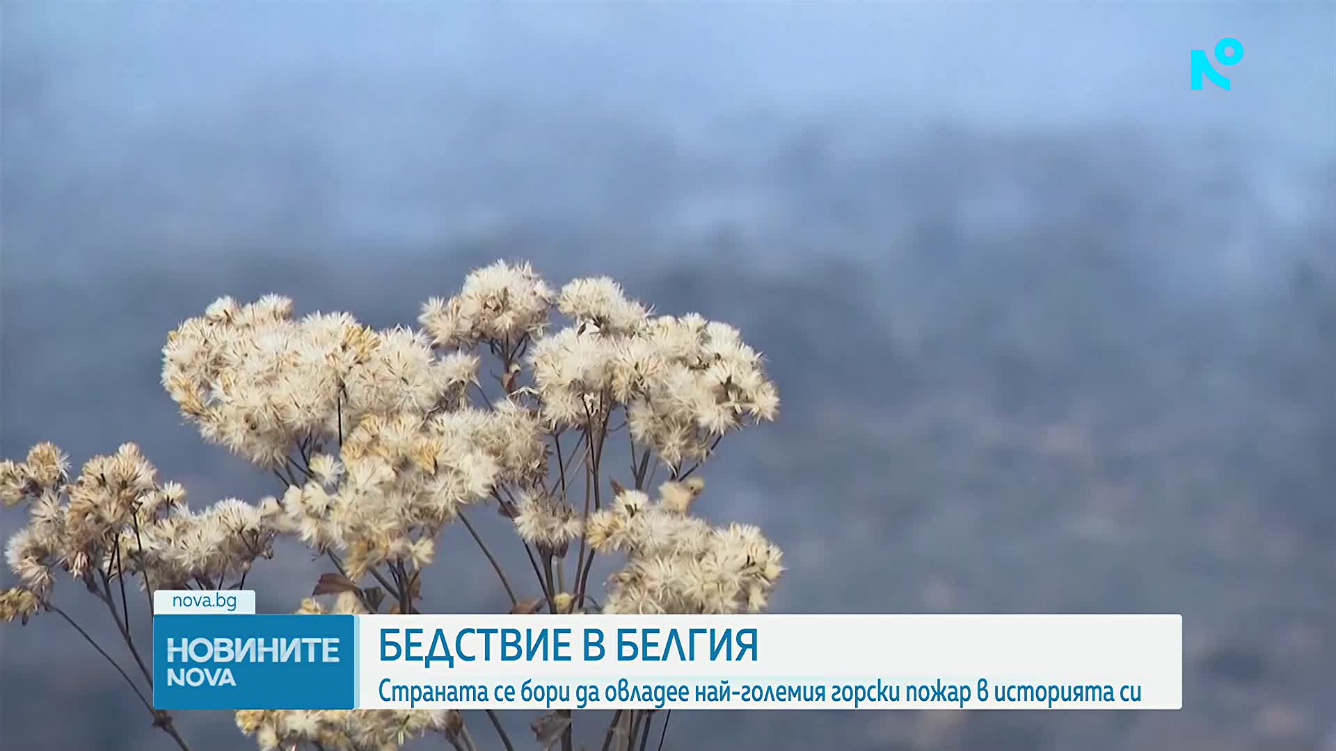 Дъжд и висока влажност ограничиха големия пожар, бушуващ в резерват в Белгия
