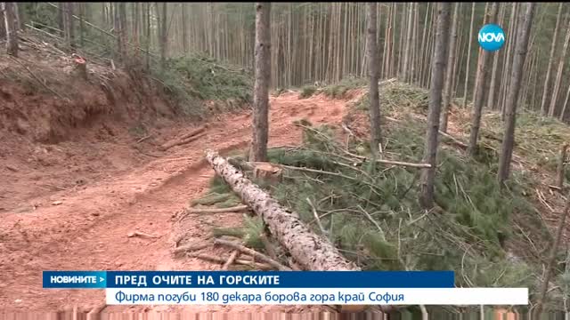Новините на NOVA (09.04.2017 - обедна емисия)