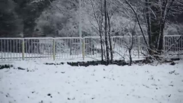 "Моята новина": Силен вятър и сняг в Разград!