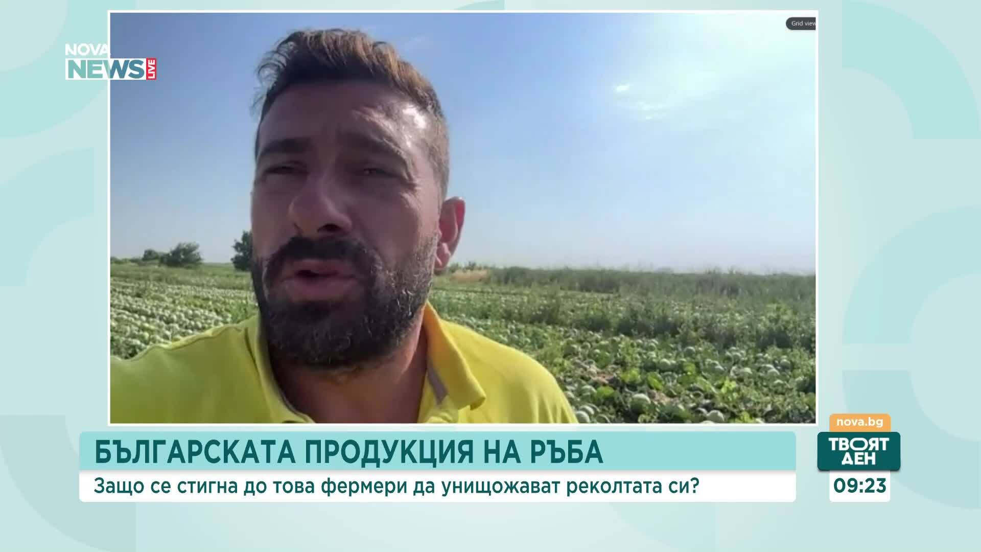 Българската продукция на ръба:  Защо се стига до това фермери да унищожават реколтата си