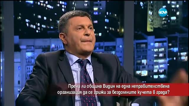Пречи ли община Видин на активисти да се грижат за бездомните кучета?