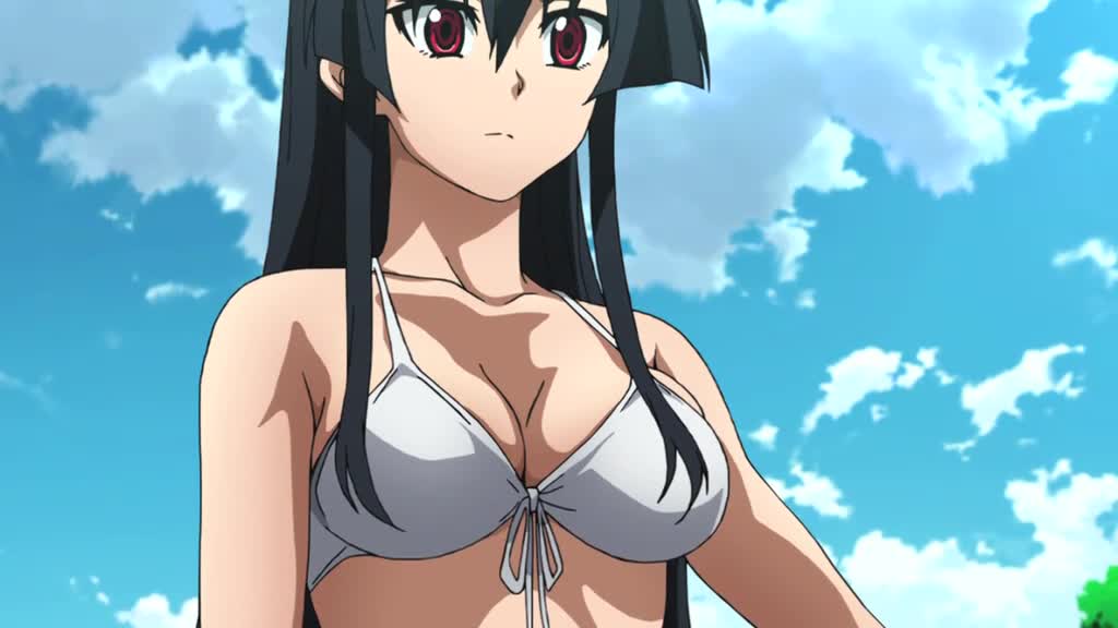 Akame ga Kill! 2 Eng Subs [576p]