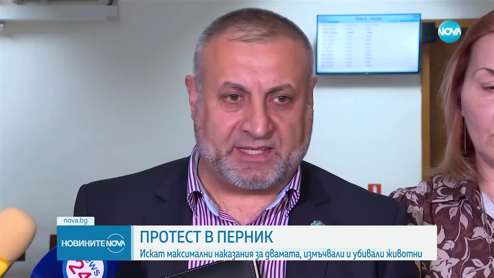 Прокуратурата за случая с насилие над животни: Задържаните са действали от 2-3 години, няма българи