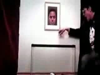 Змия Ухапва Човек По ...