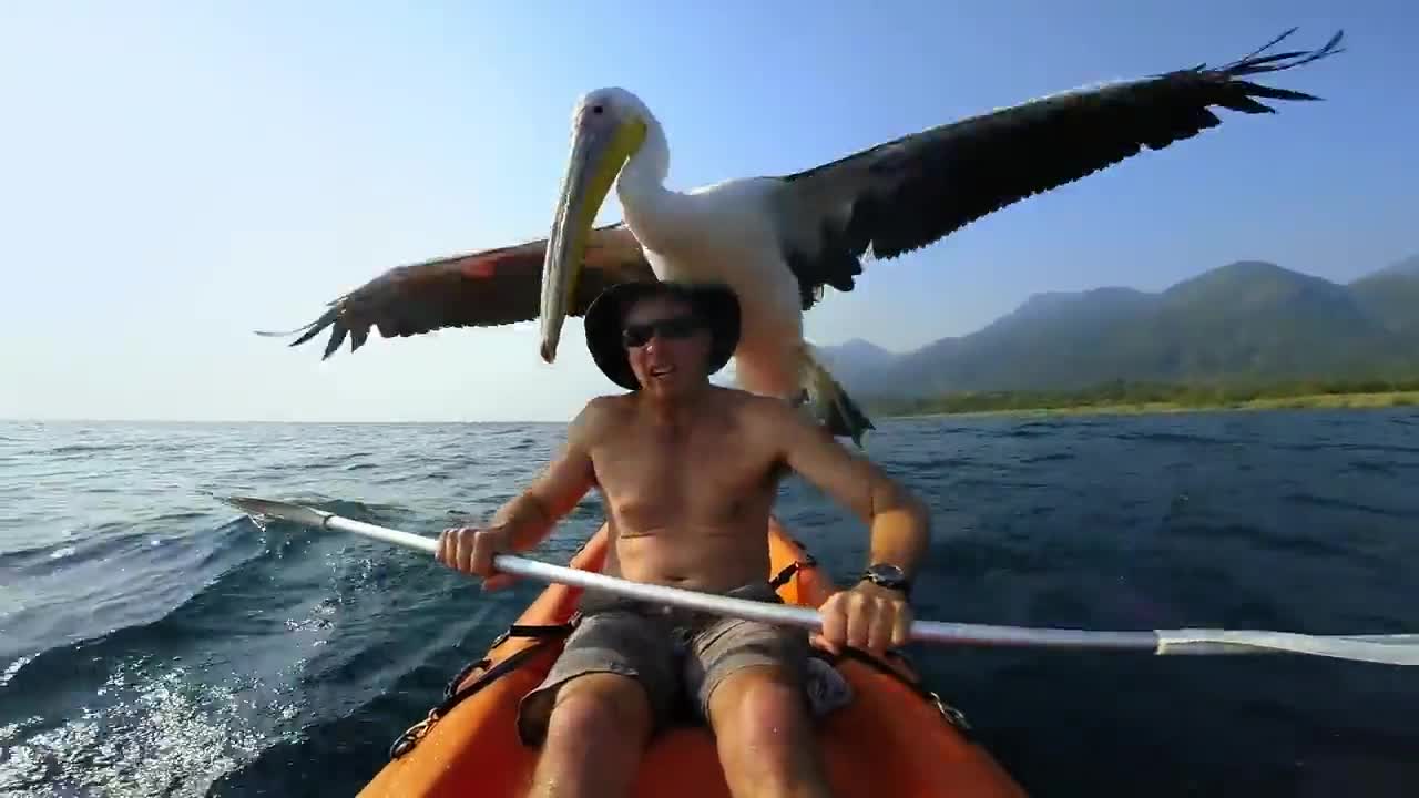 Страхотни кадри! Благодарение на Go Pro Hero,гледайте как двама приятели ловят риба всяка сутрин
