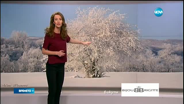 Прогноза за времето (29.01.2017 - обедна емисия)
