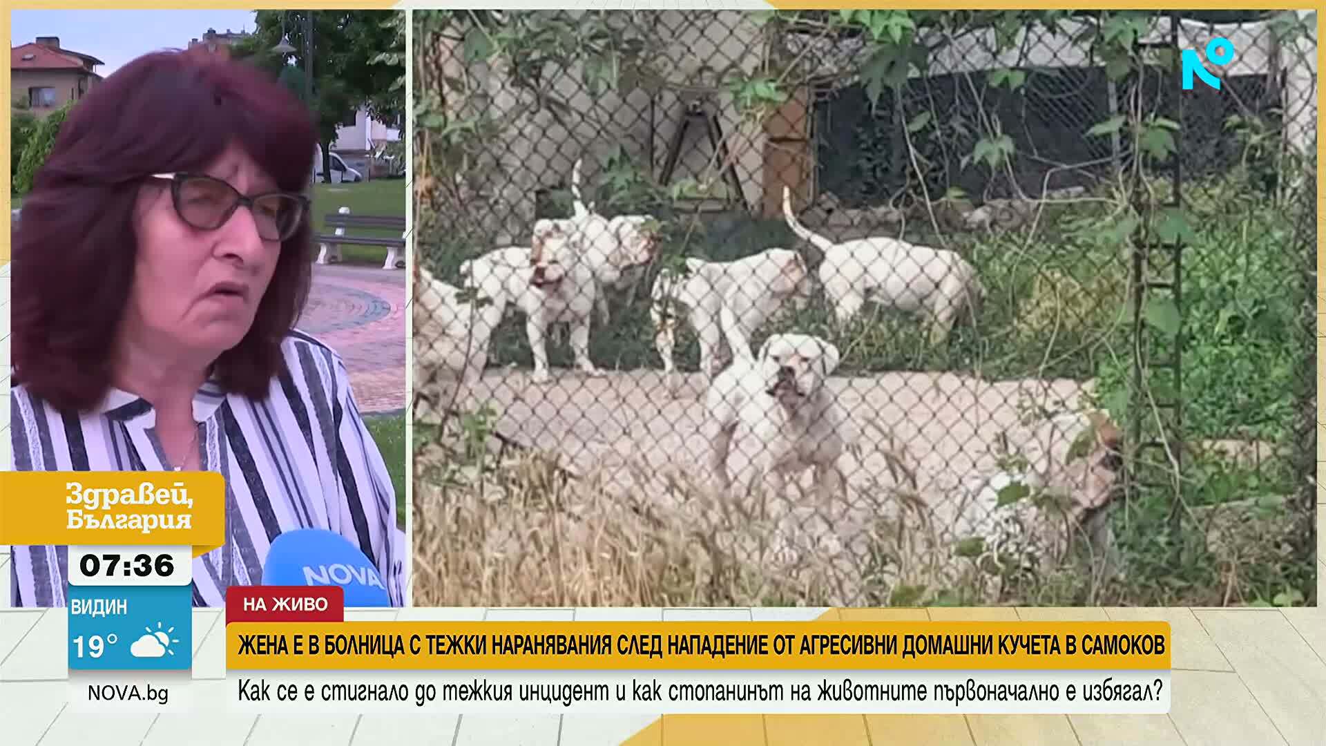 Жена от Самоков стигна до болница с тежки наранявания след нападение от домашни кучета