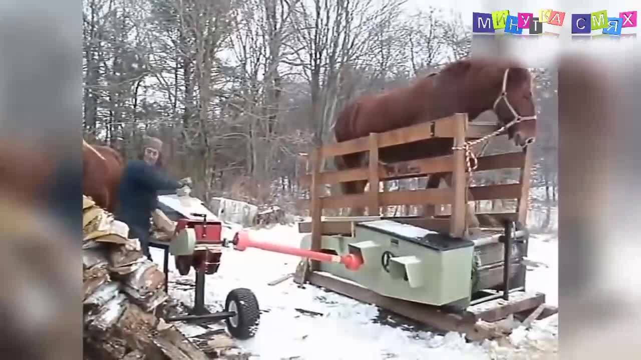 Интересни изцепки за всеки ден - Минутка смях