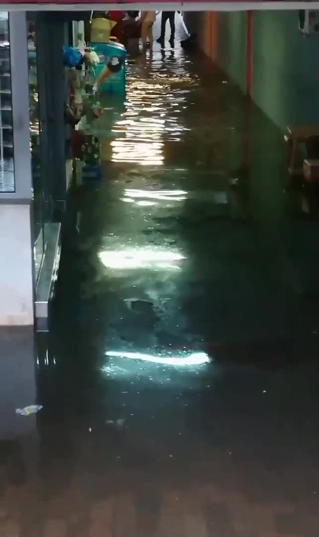 Морето в град Пловдив