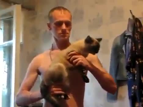 Смях ... Руснаците са невероятни. Котка Ак-47