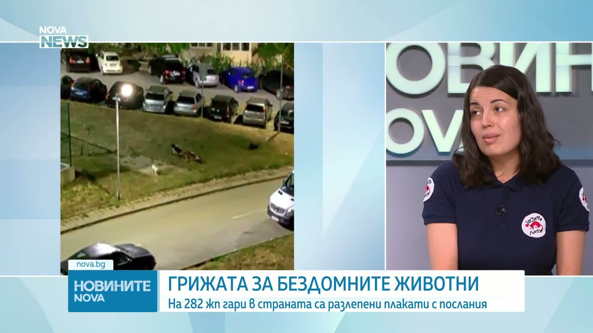 Любов и подкрепа към бездомните животни: На 282 жп гари в страната са разлепени плакати с послания