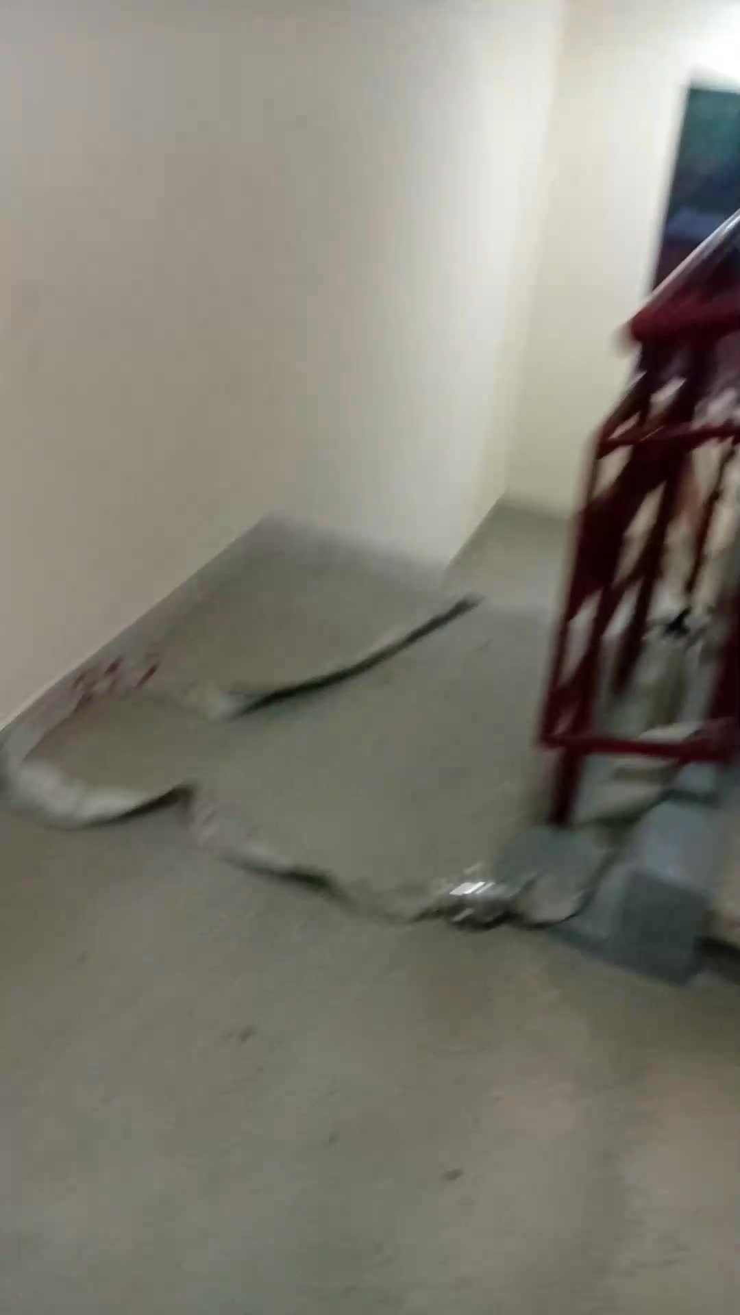 Овладян е пожар в жилищен квартал в Пловдив благодарение на бързата намеса на пожарната