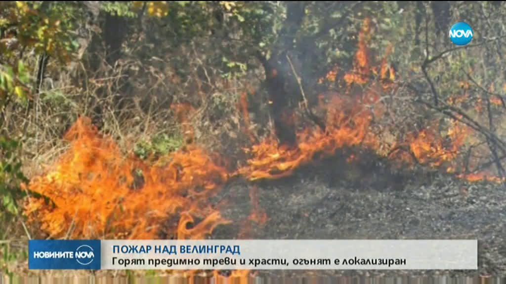 Пожар е обхванал 60 дка иглолистна гора над Велинград