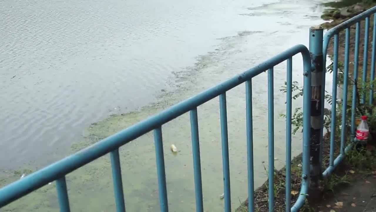 Чудовище в Панчарево? 16.09.2014