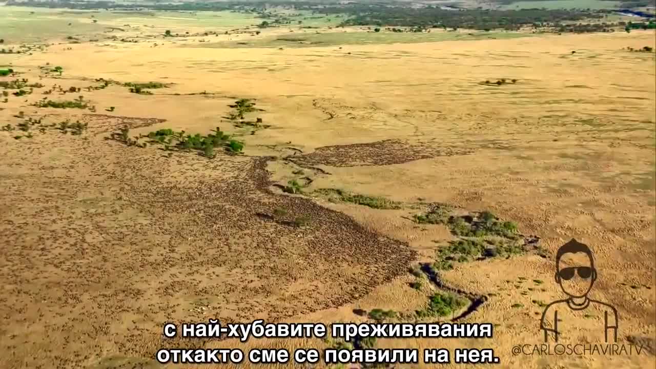 Планетата Земя - това си ти: послание, което разтърси света