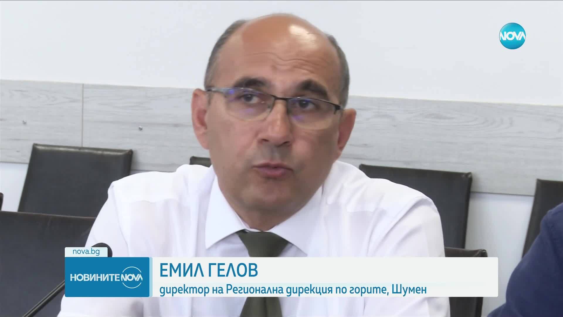 Издирването на дива котка на Шуменското плато