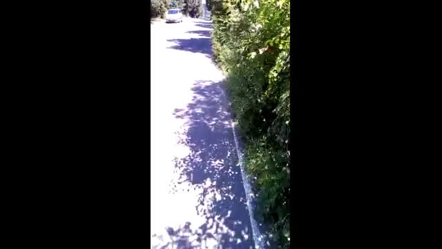 Вредно озеленяване в Бургас