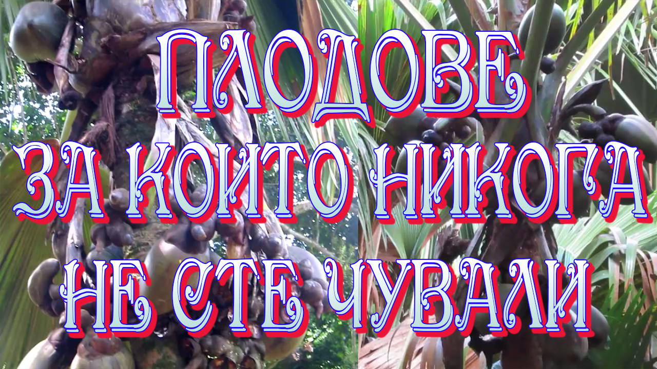 Плодове, за които никога не сте чували