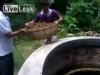 Мъже се опитват да спасят котка, но тя се справя сама! :)