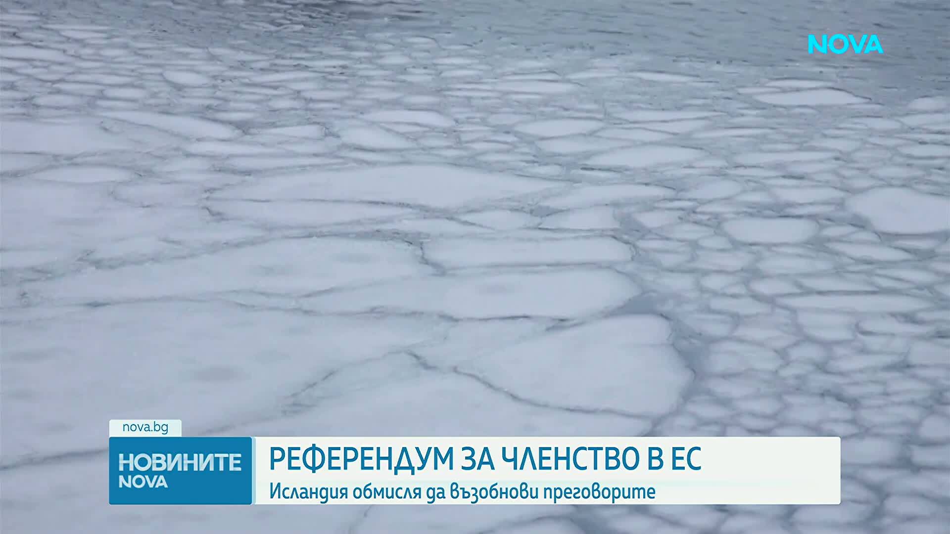 Исландия обмисля референдум за присъединяване към ЕС