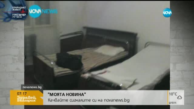 "Моята новина": Комари като врабчета