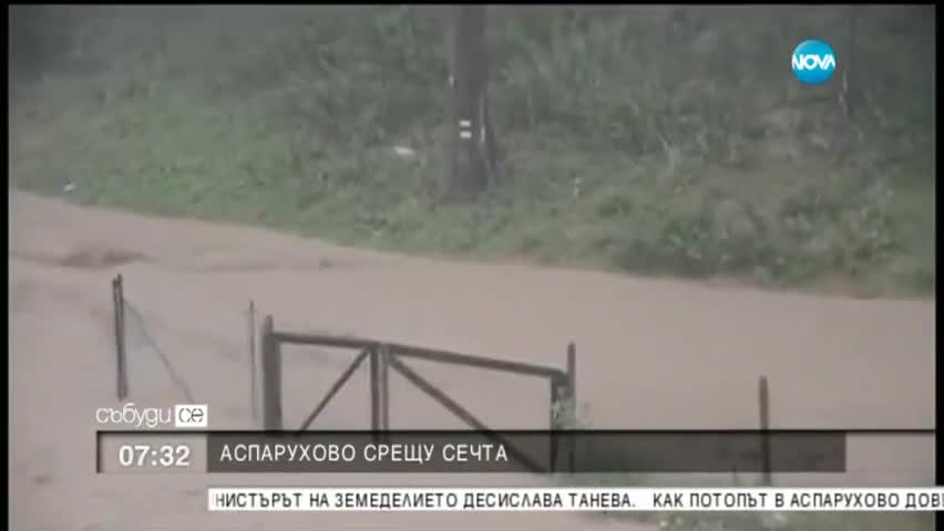 Протест срещу сечта в „Аспарухово”