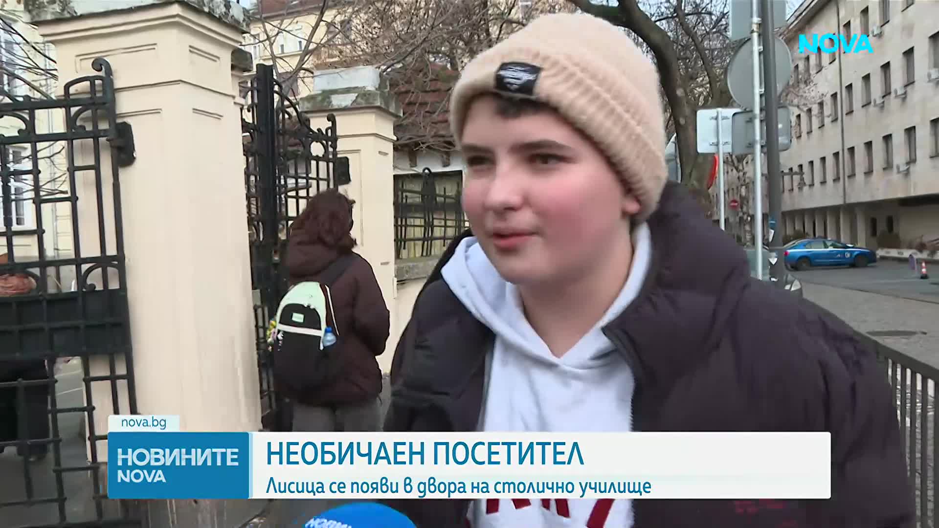 Необичаен посетител: Лисица се появи в двора на столично училище (ВИДЕО)