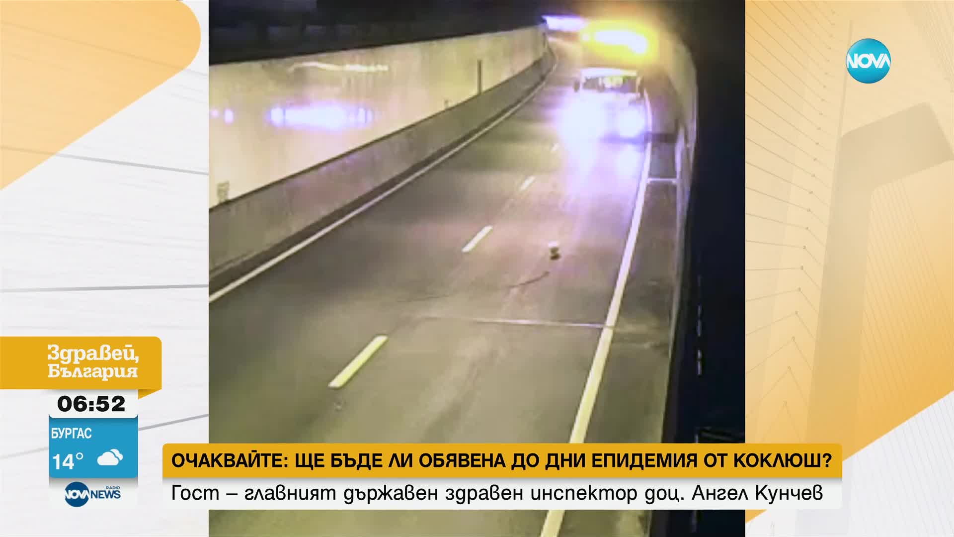Куче спря движението в тунел на магистрала в Австралия