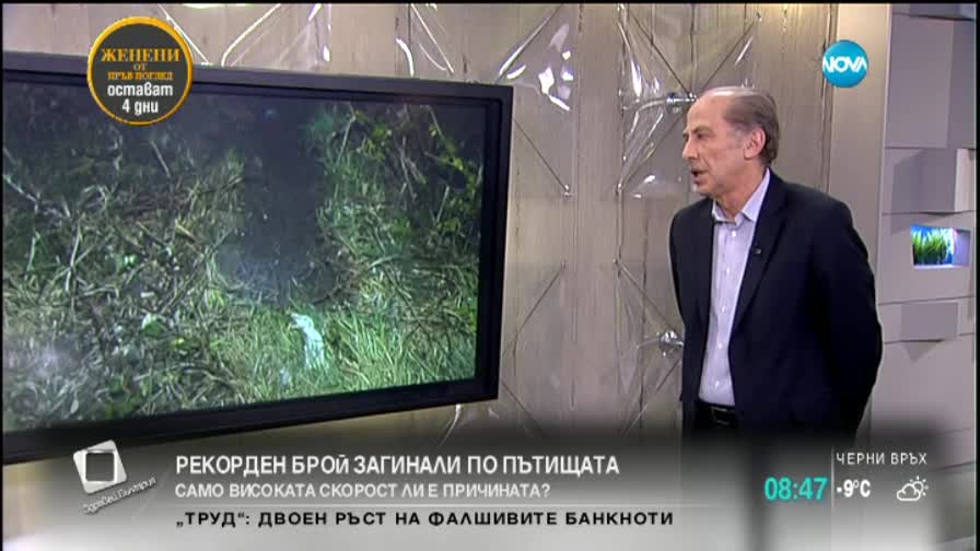 Алекси Стратиев: Нужен е Закон за движение по пътищата