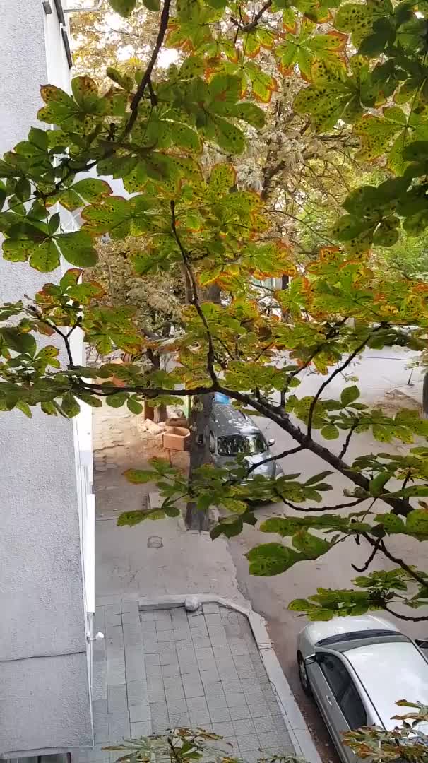 Ремонт на бул "България"
