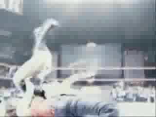 Wwe - Lita Много Як Tribute