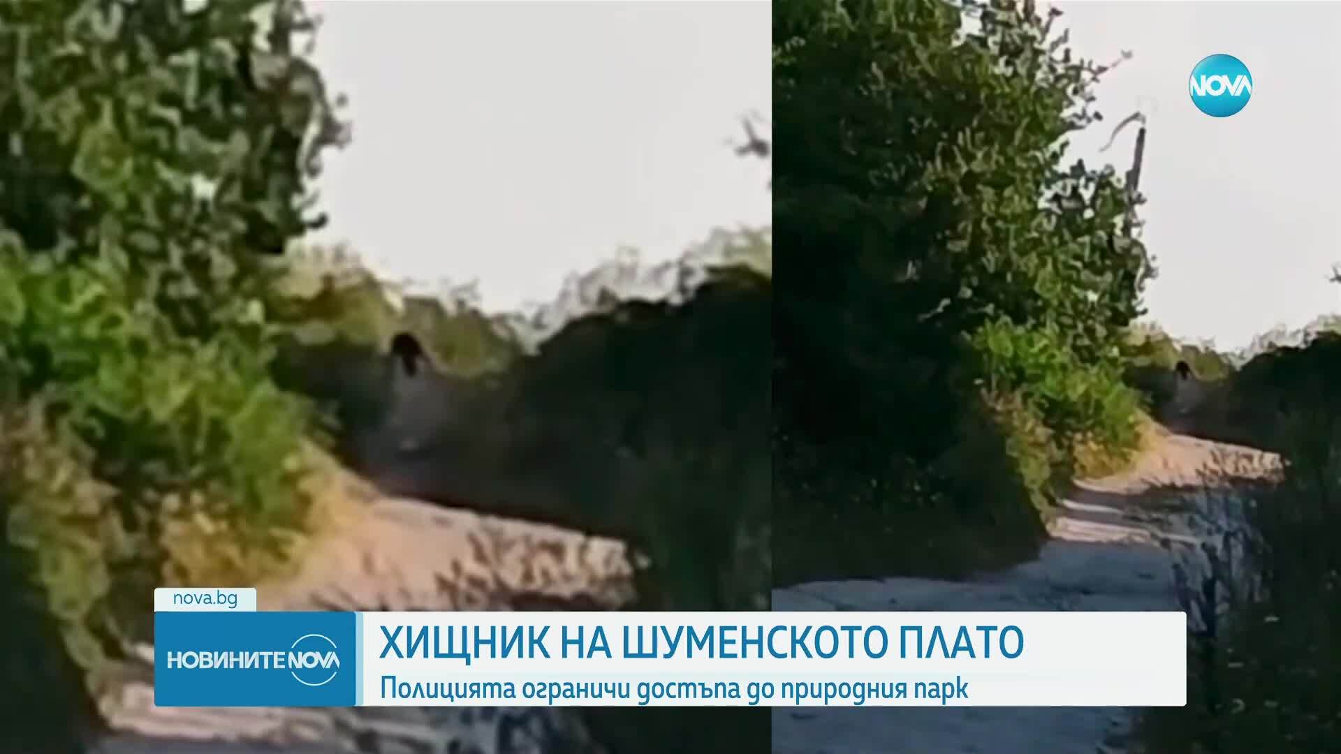 Реална опасност за хората: BG-Alert се активира заради хищника в Шумен