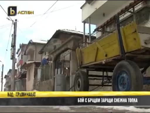 Бой с Брадви заради Снежна топка !