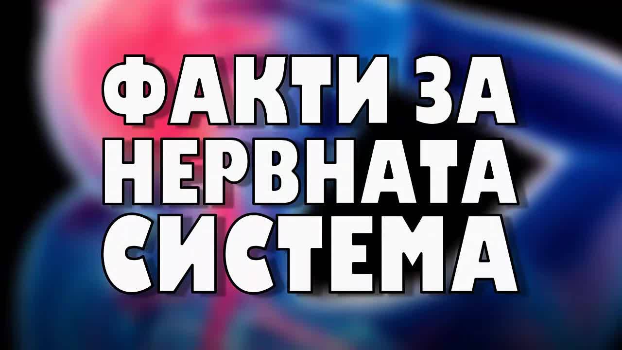 Факти за нервната система