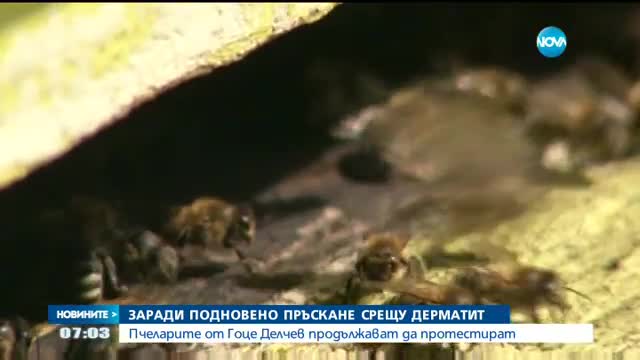 Пчеларите от Гоце Делчев – отново на протест