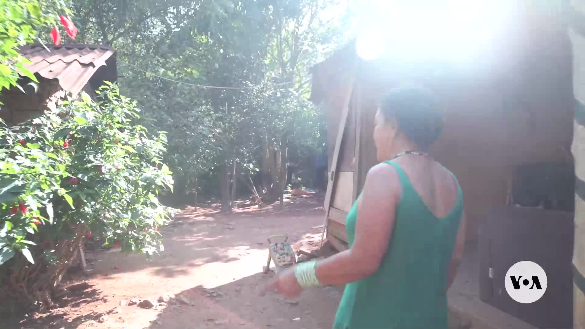 Indigenous community within Sao Paulo fights to preserve its land culture