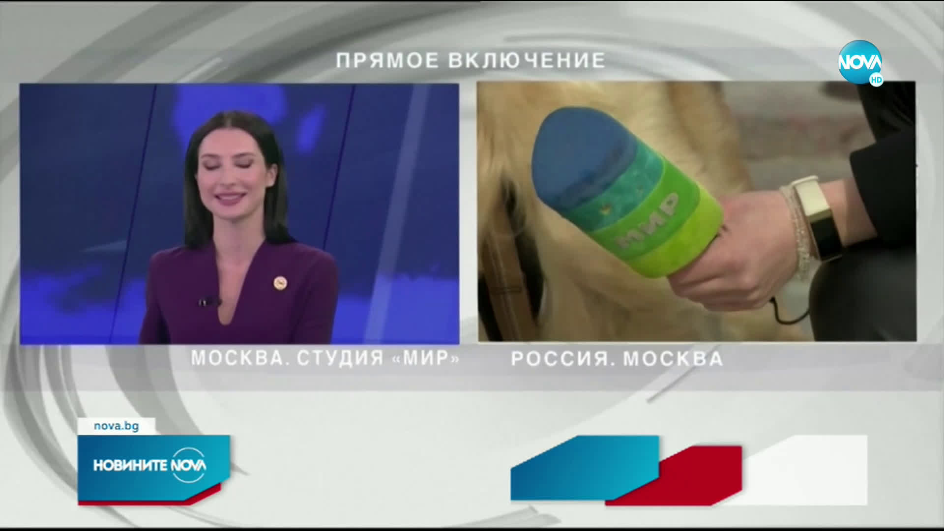Куче открадна микрофона на репортерка в Москва