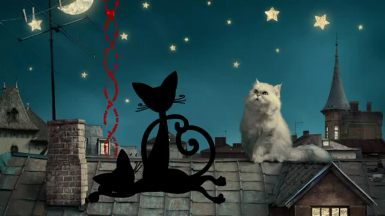 Котешка любов! ... ...